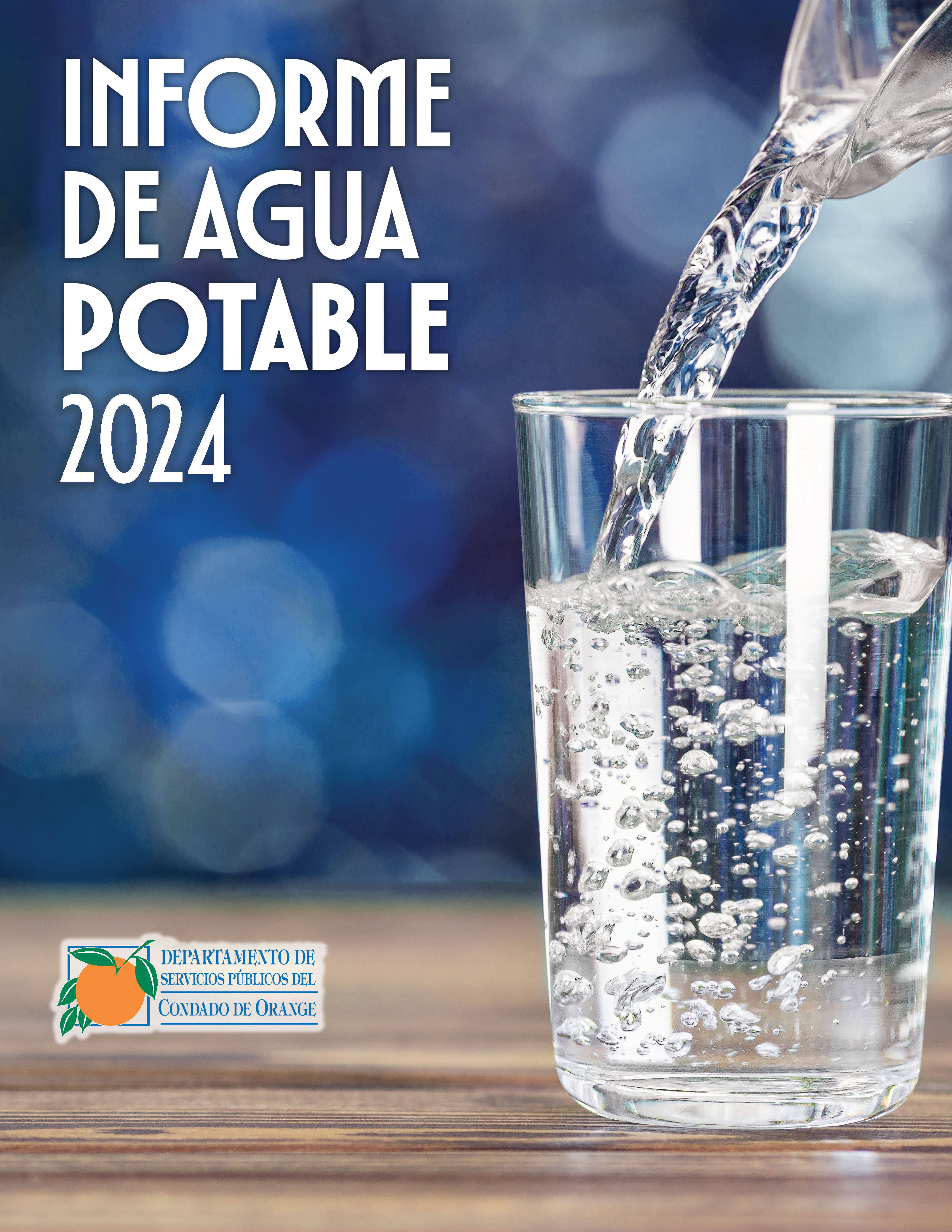 Informe de Agua Potable 2024
