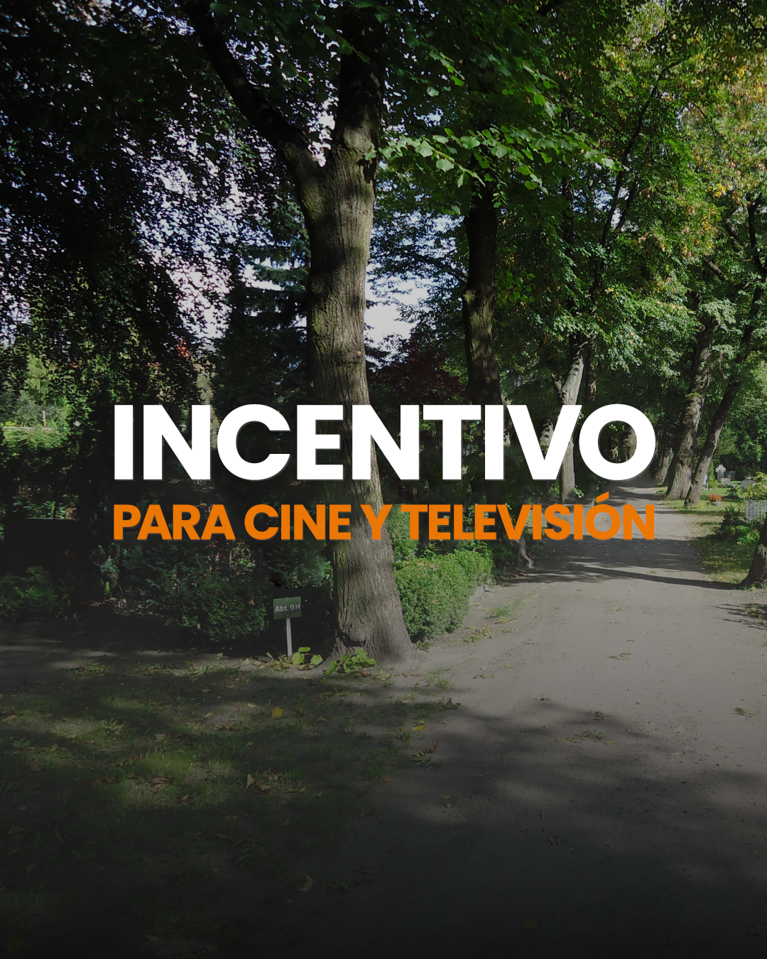 Incentivo para cine y televisión
