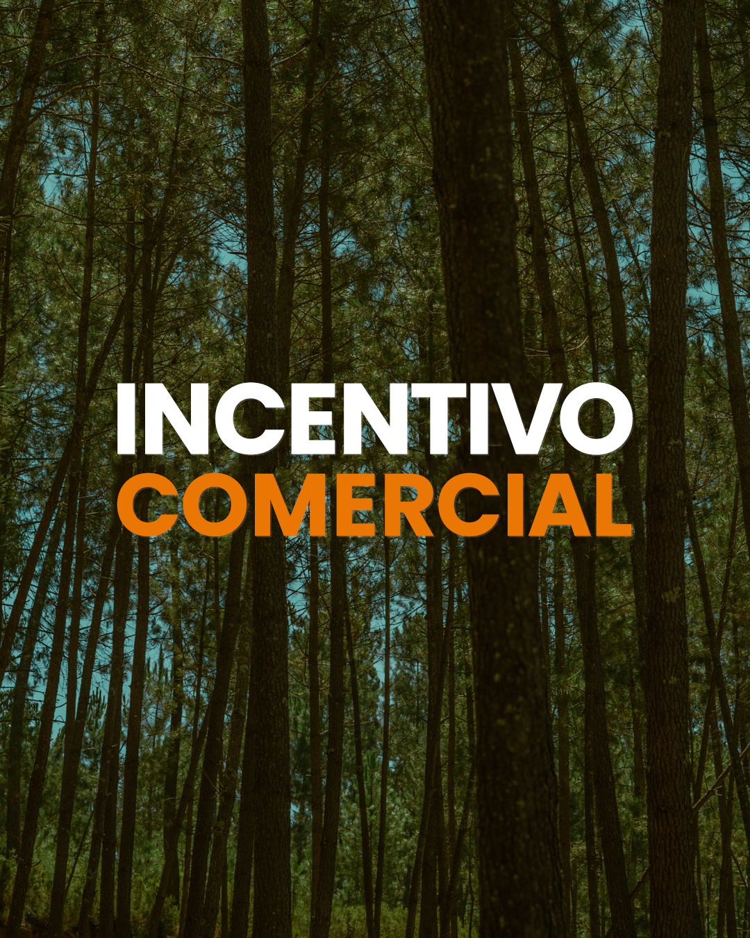 Incentivo comercial