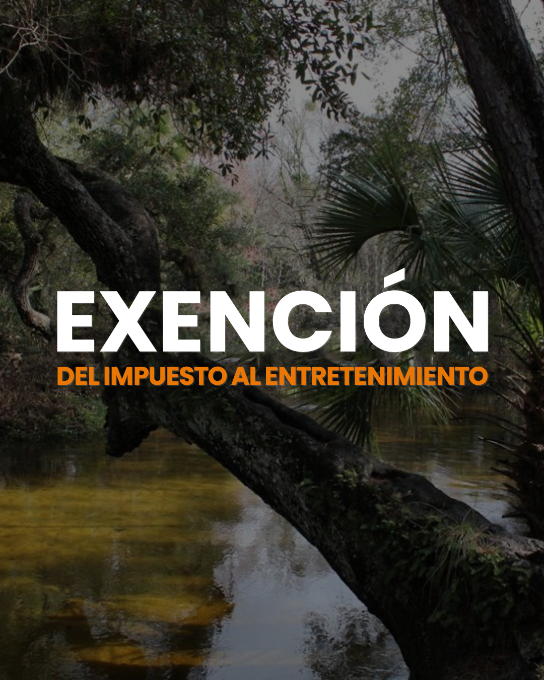 Exención del impuesto sobre el entretenimiento