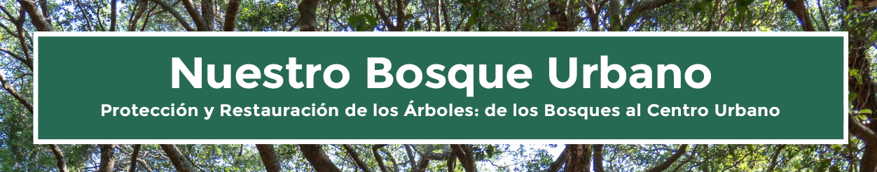 Bosque Urbano