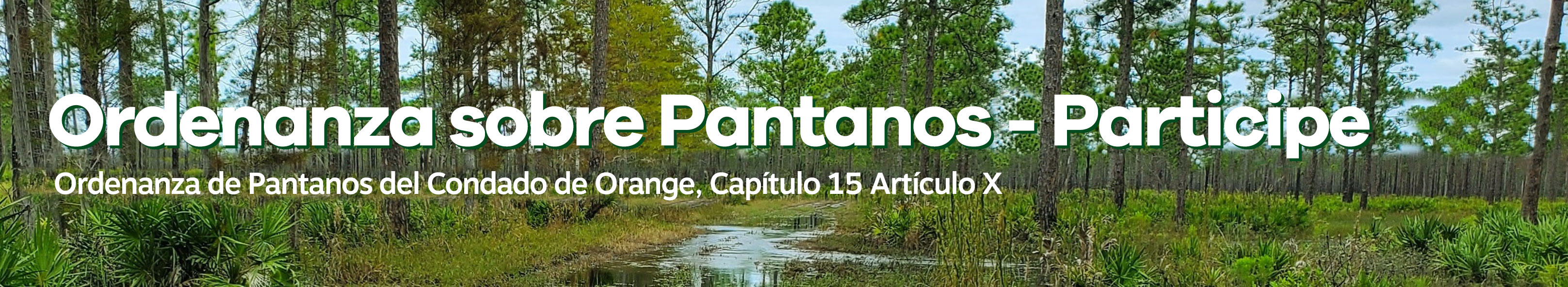 Participación Pública en la Ordenanza de Pantanos -  Ordenanza de Pantanos del Condado de Orange, Capítulo 15 Artículo X