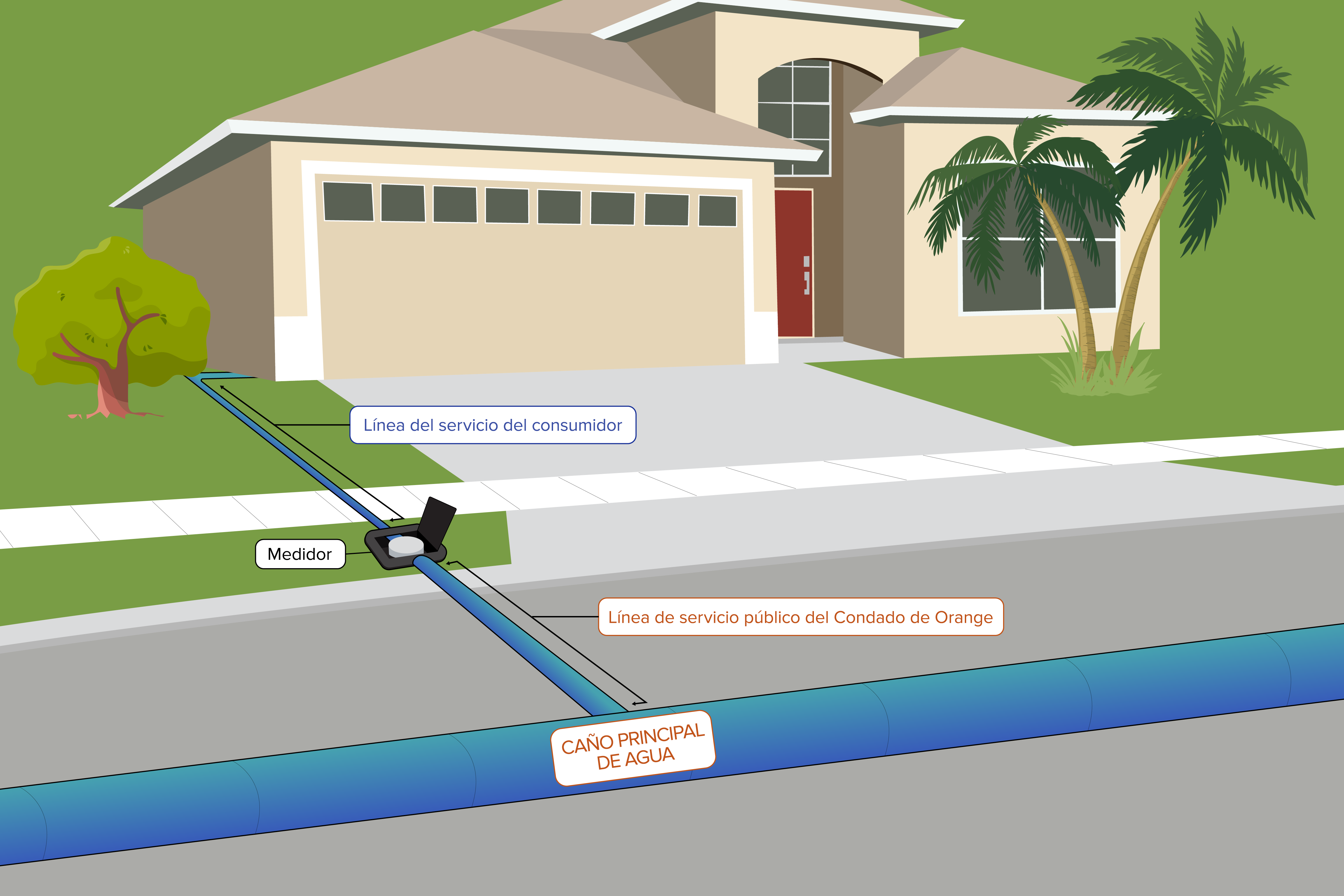 Representación de una casa residencial estilizada con patio, cuya línea de servicio del consumidor está conectada de la casa al medidor, y del medidor a la línea de servicio de Servicios Públicos del Condado de Orange hasta la tubería principal de agua debajo de la calle.